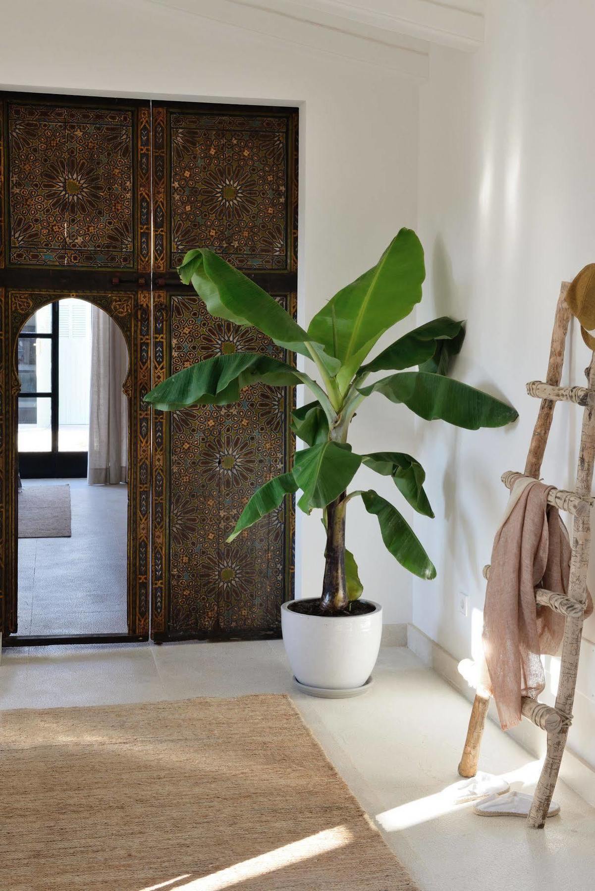 ホテル Cal Reiet Holistic Retreat サンタニー エクステリア 写真